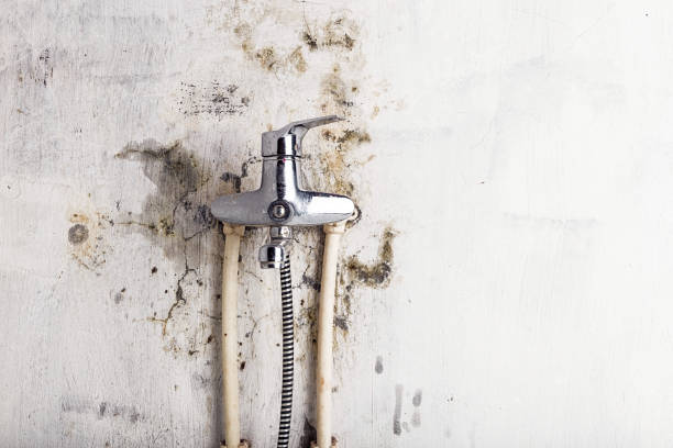 Best Mold Removal Company Near Me  in Delano, CA