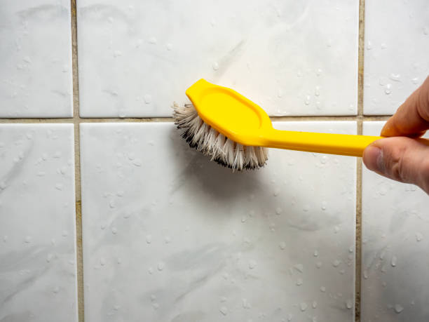 Best Professional Mold Removal  in Delano, CA