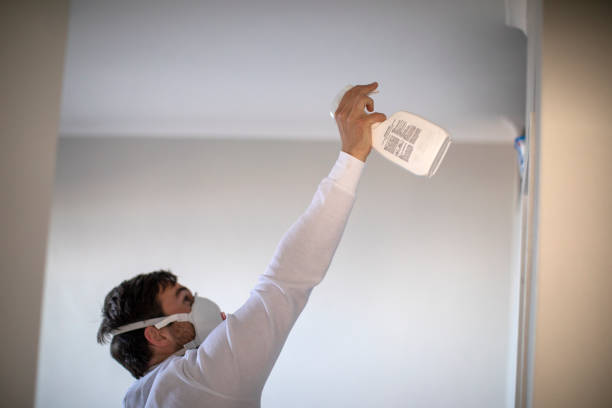 Best Attic Mold Removal  in Delano, CA