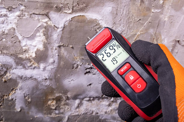 Best Mold Testing  in Delano, CA