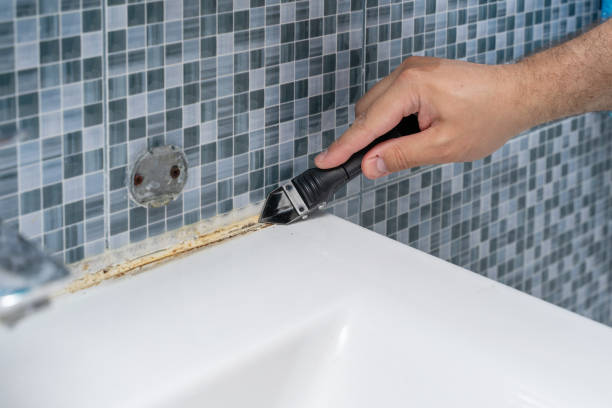 Best Black Mold Removal  in Delano, CA