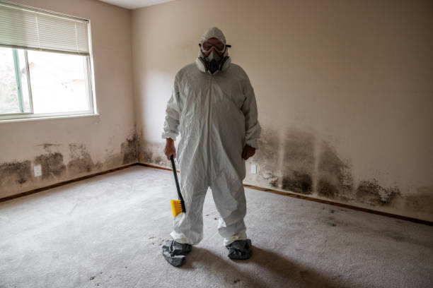 Best Mold Removal Process  in Delano, CA