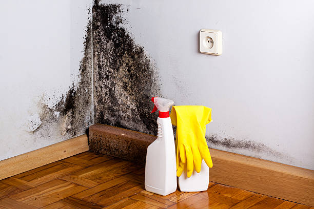 Best Residential Mold Removal  in Delano, CA
